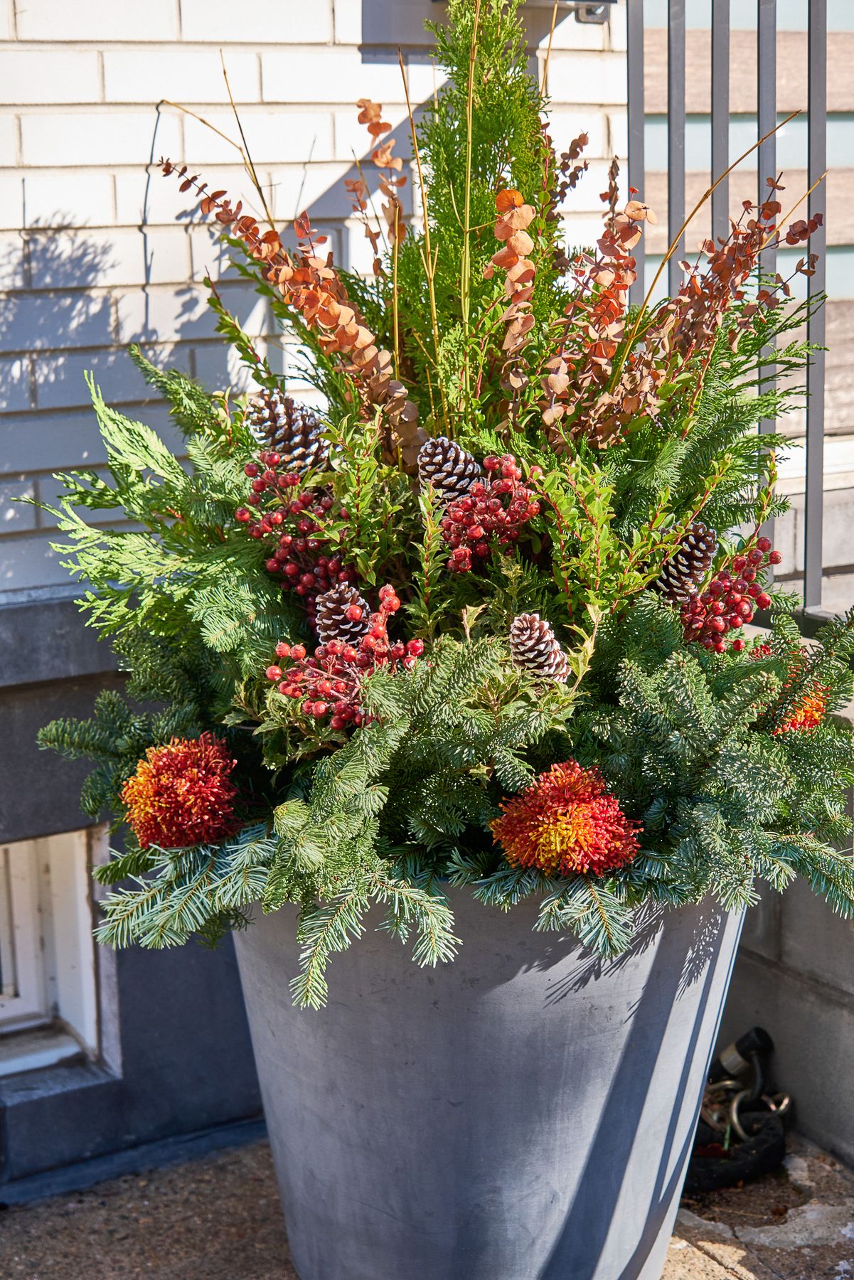 Enliven Planters winter container arrangement